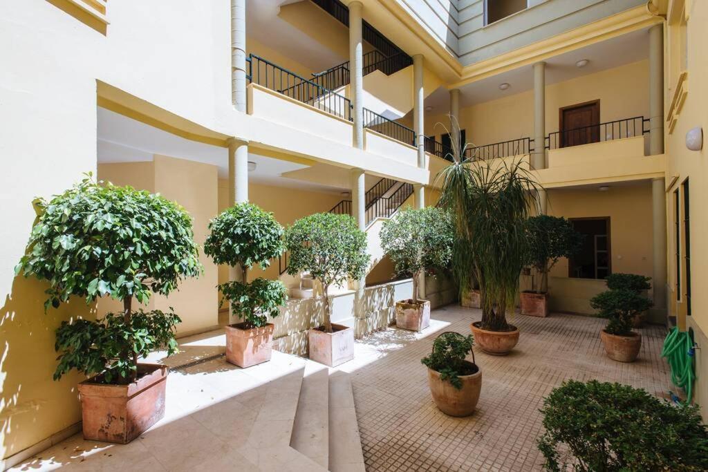 Cozy And Well Located Apartment In The Center Of Севиля Екстериор снимка